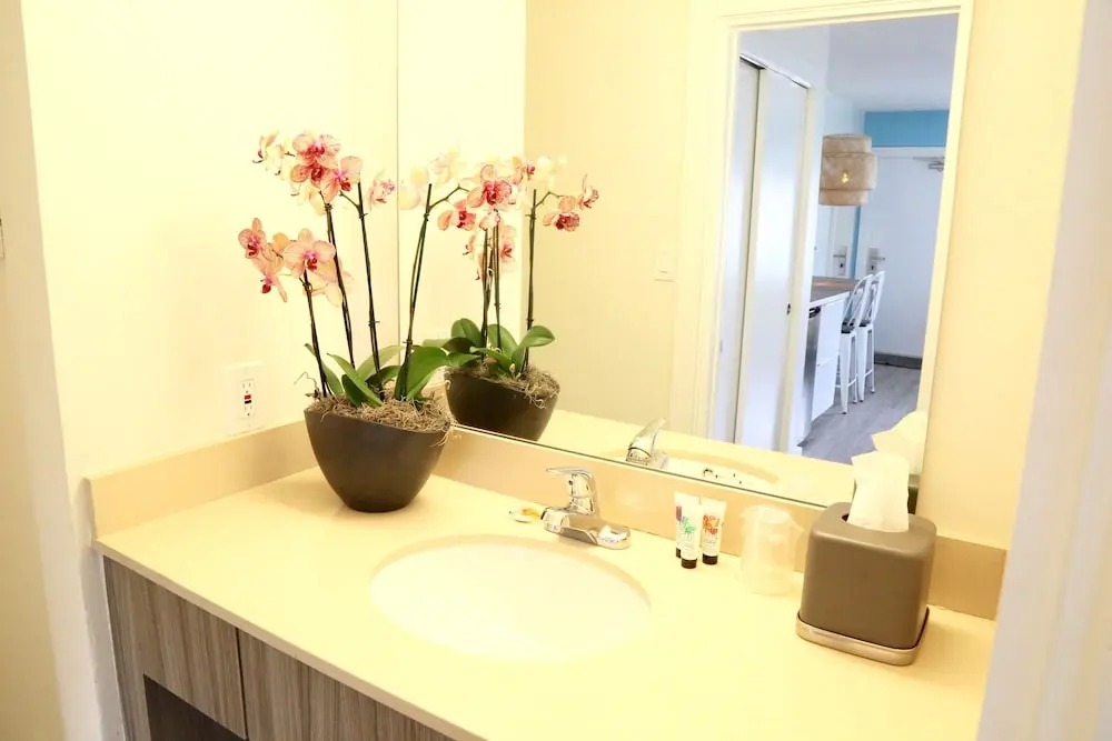 هتل فورتونا